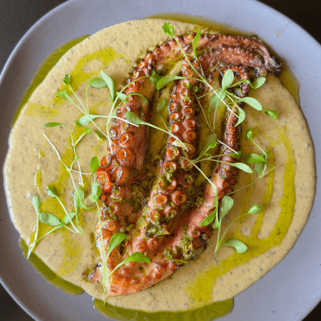 Polvo Grelhado — Mousseline de Mandioquinha, Azeite de Coentro e Chimichurri Defumado Acompanhado com Gohan